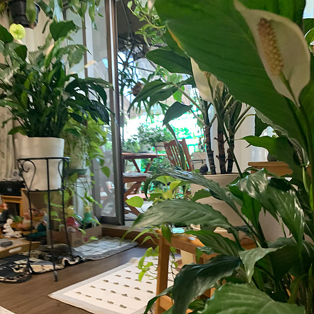 Aqettyさんの部屋
