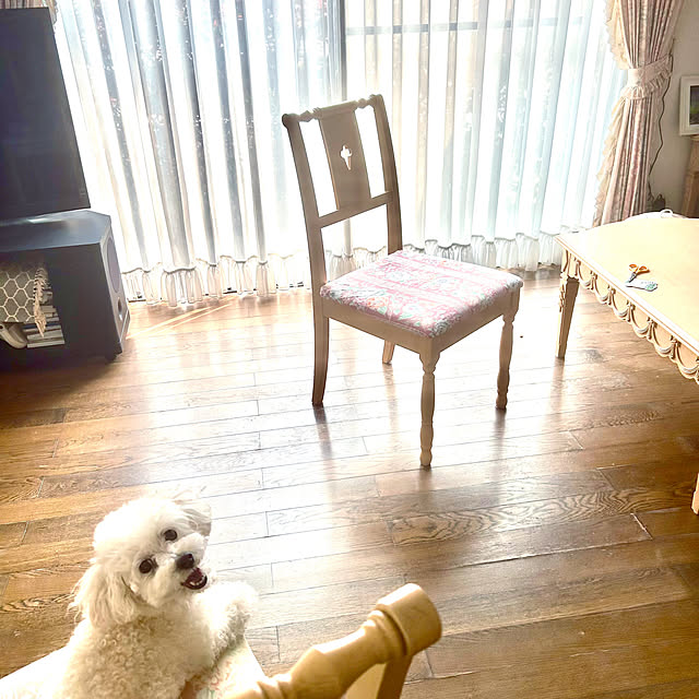norikorinさんの部屋