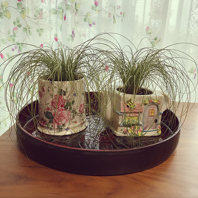 fuyiqian1026さんの実例写真