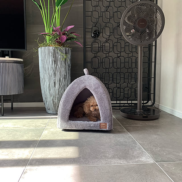 petit.elmopucciさんの実例写真