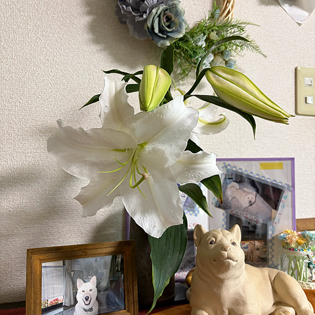 ritsukoさんの部屋