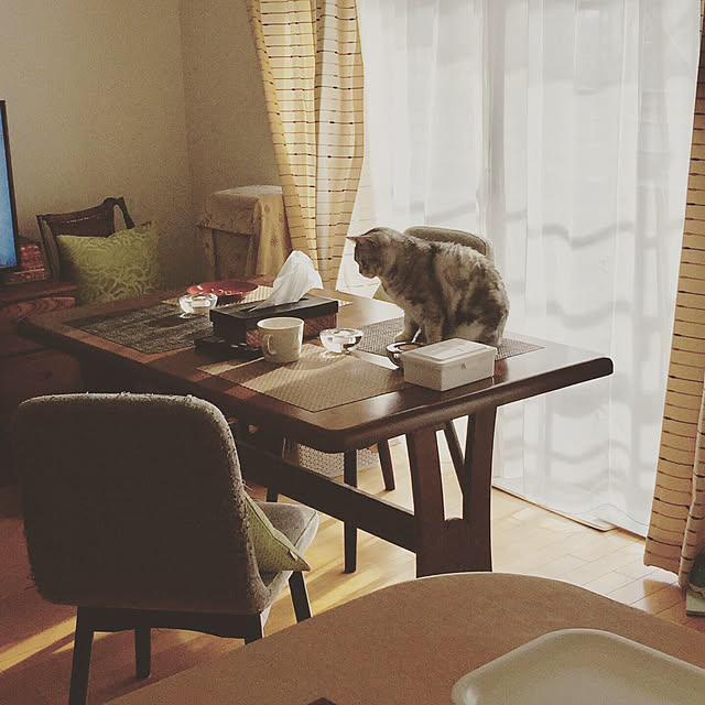 mimiさんの実例写真
