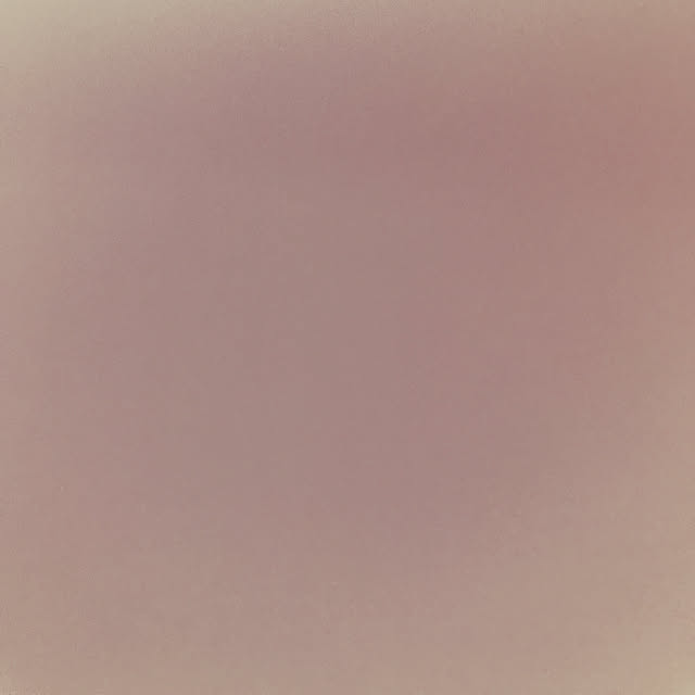 Mikaさんの実例写真