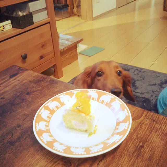 H.Sさんの実例写真