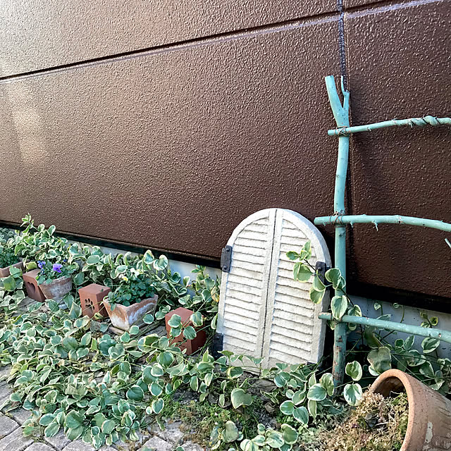 oyoさんの実例写真