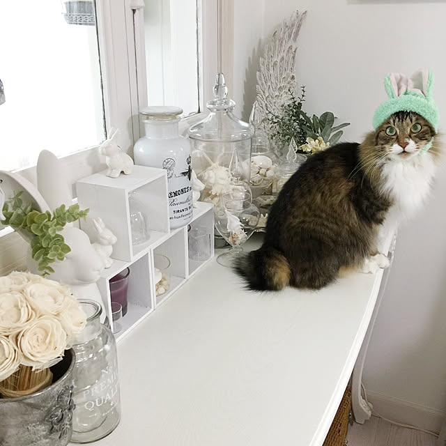 yuchiさんの実例写真