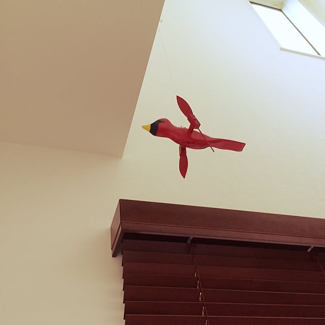 saekaさんの実例写真