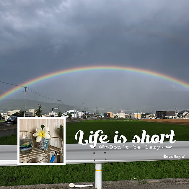 実例写真