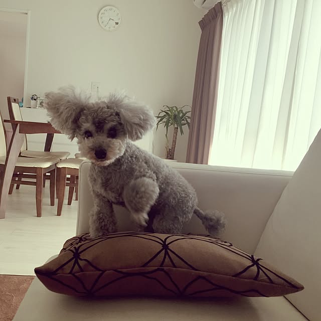 Rimioさんの実例写真