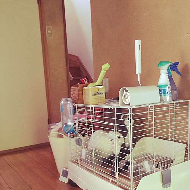 otukaresanさんの実例写真