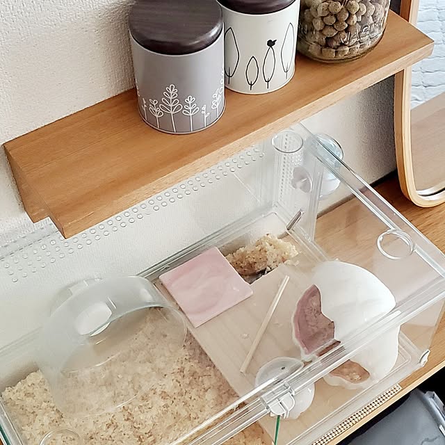 pomさんの部屋