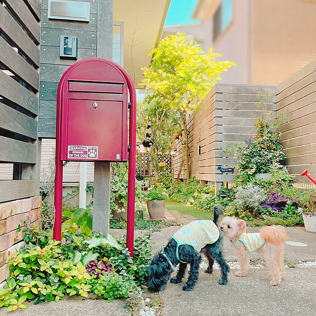 risaさんの実例写真