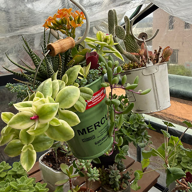 Aqettyさんの部屋