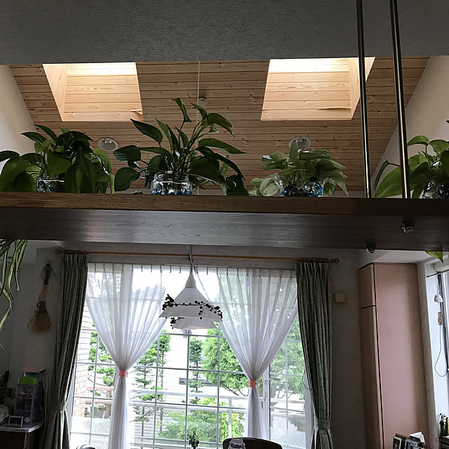 キッチン/観葉植物/ダイソーのインテリア実例 - 2018-08-01 08:38:26
