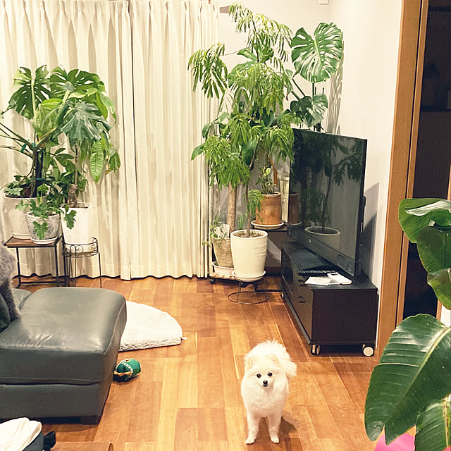 1546さんの実例写真