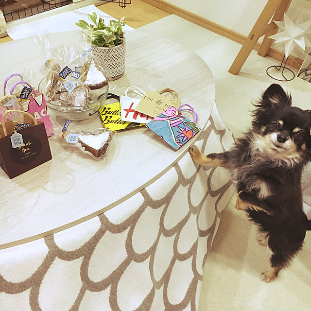 cocoさんの実例写真