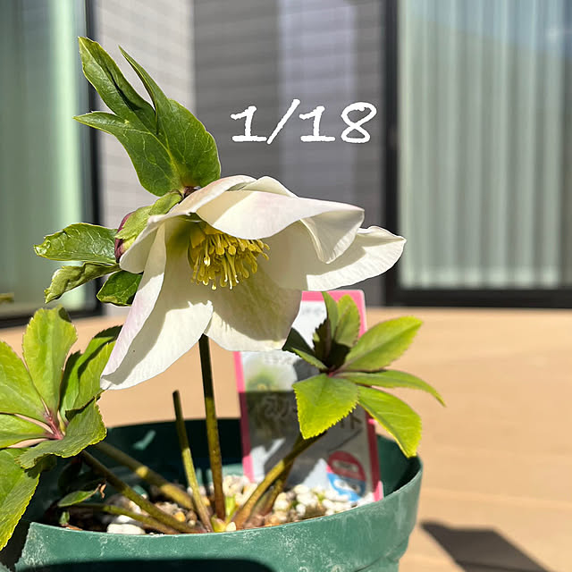 take_nokoさんの実例写真