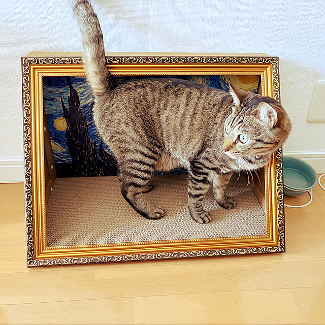 Cohenさんの部屋