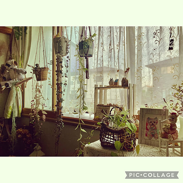 CoCo0617さんの部屋