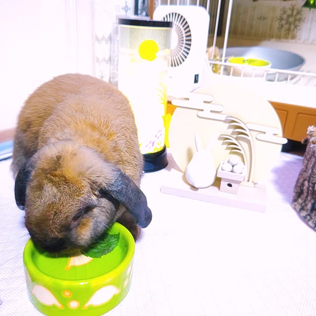 mariaさんの部屋