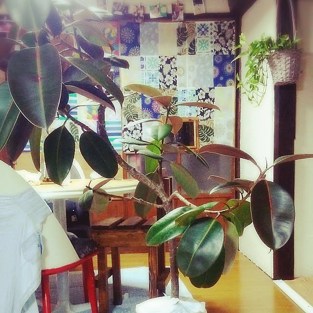 ayaさんの実例写真