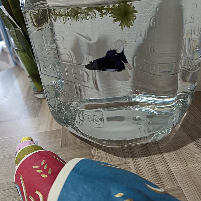 miyukiさんの部屋