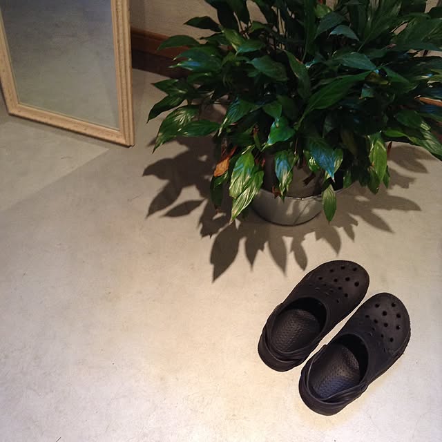 justomouさんの実例写真