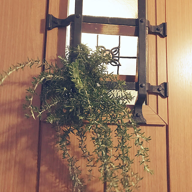 msfさんの実例写真
