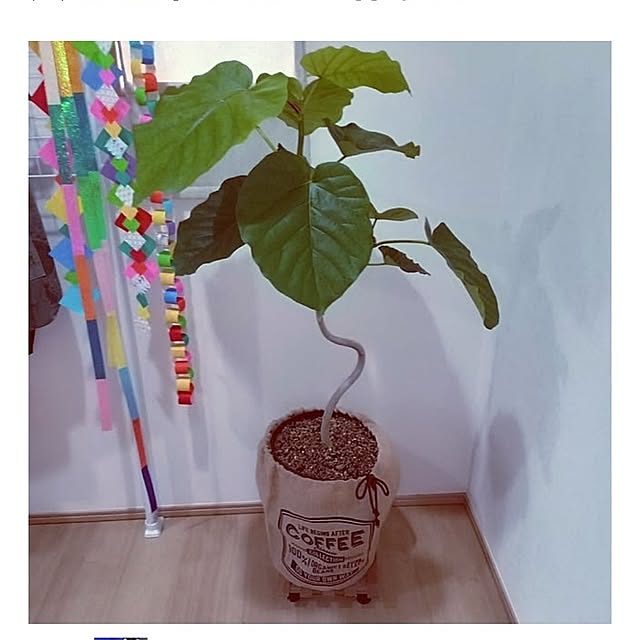 mocomocoさんの部屋