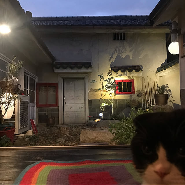 joshua.treeさんの実例写真