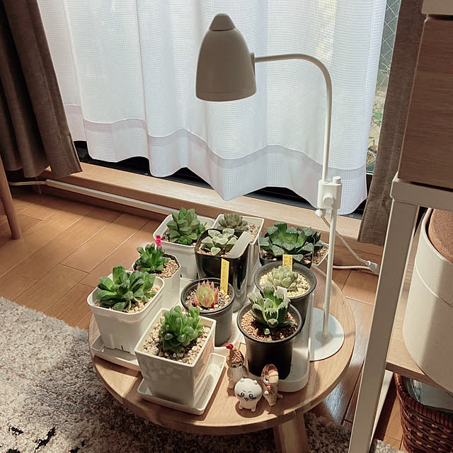 gumiさんの部屋