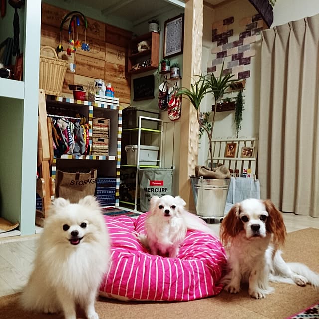 yukaさんの実例写真