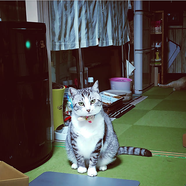 mntcさんの実例写真