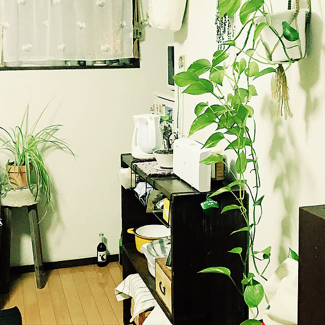 apiさんの実例写真