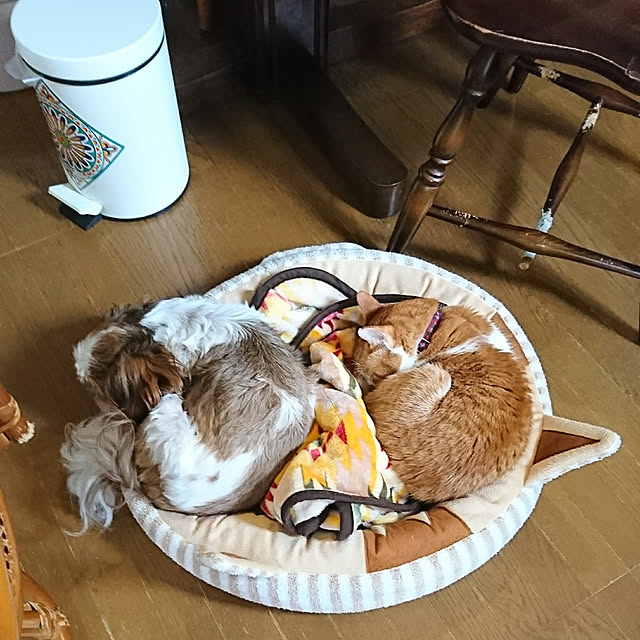 SHIHOさんの実例写真