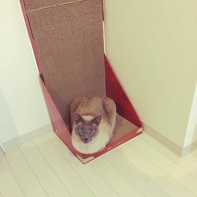 makikoさんの実例写真