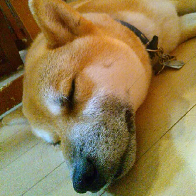 kotaさんの実例写真