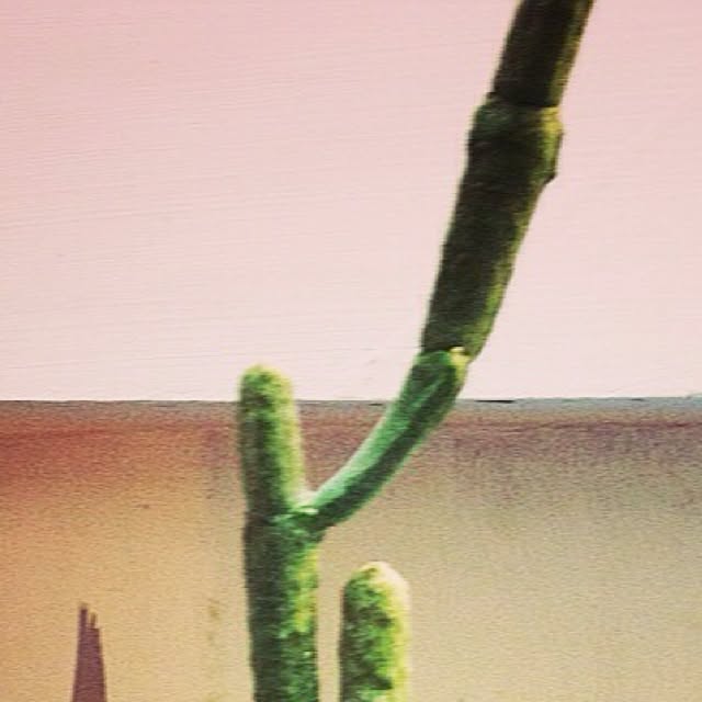 Joanさんの実例写真