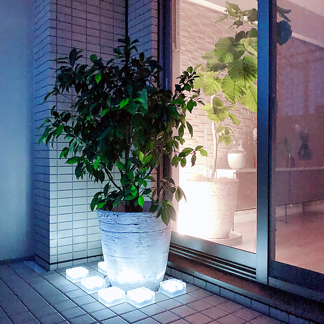 teracoyaWORLDさんの実例写真