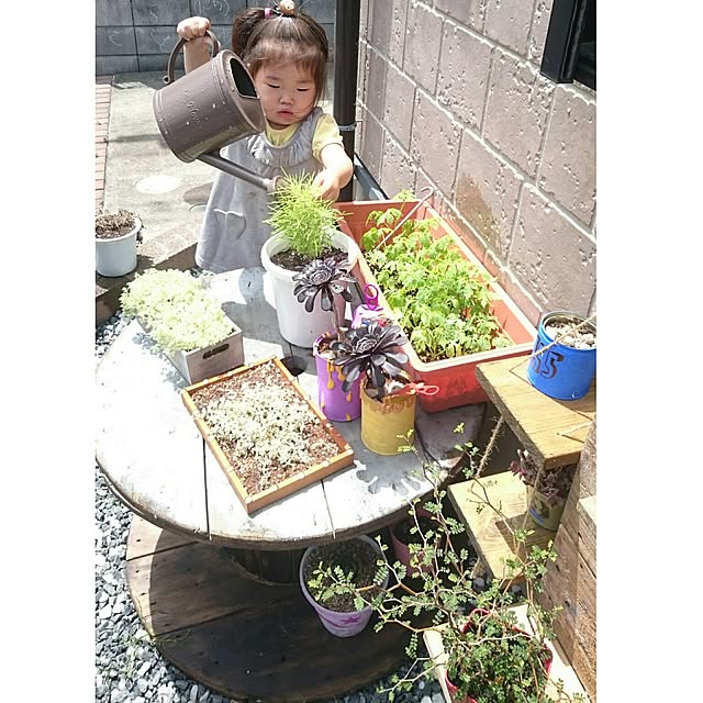 rika-snyさんの実例写真