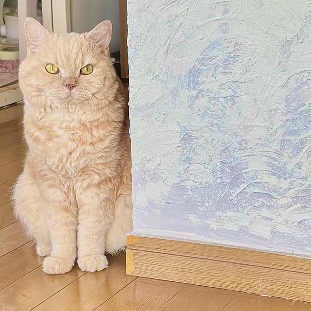 naokoさんの実例写真