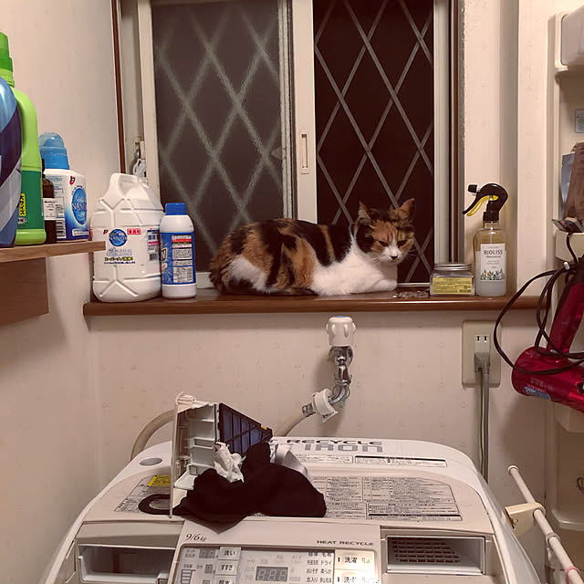 nyaaaaさんの実例写真