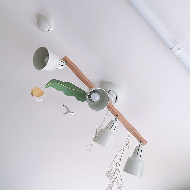 壁/天井のインテリア実例 - 2020-03-28 02:10:44