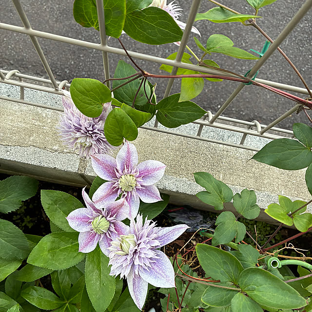 kitamitanoさんの部屋