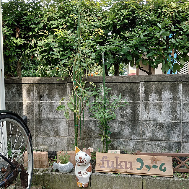 fukuさんの実例写真