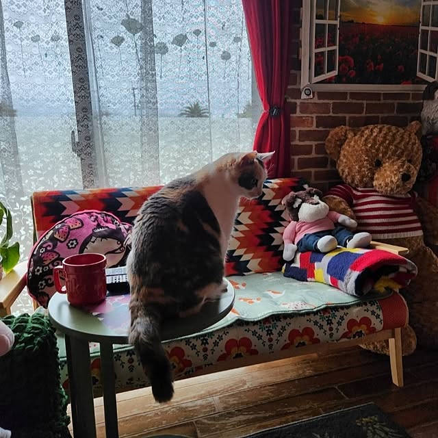 kumutanさんの実例写真