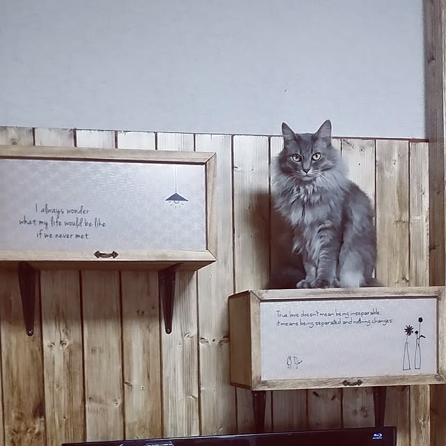 lecielさんの実例写真