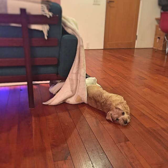 Bunさんの実例写真