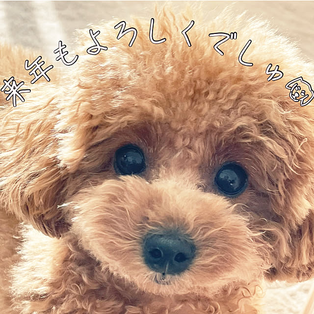 kawauso15さんの部屋