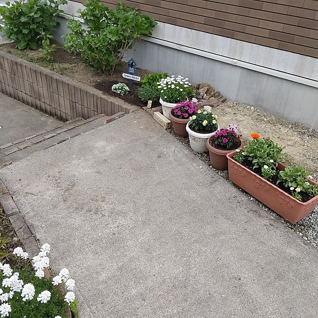twinsさんの実例写真